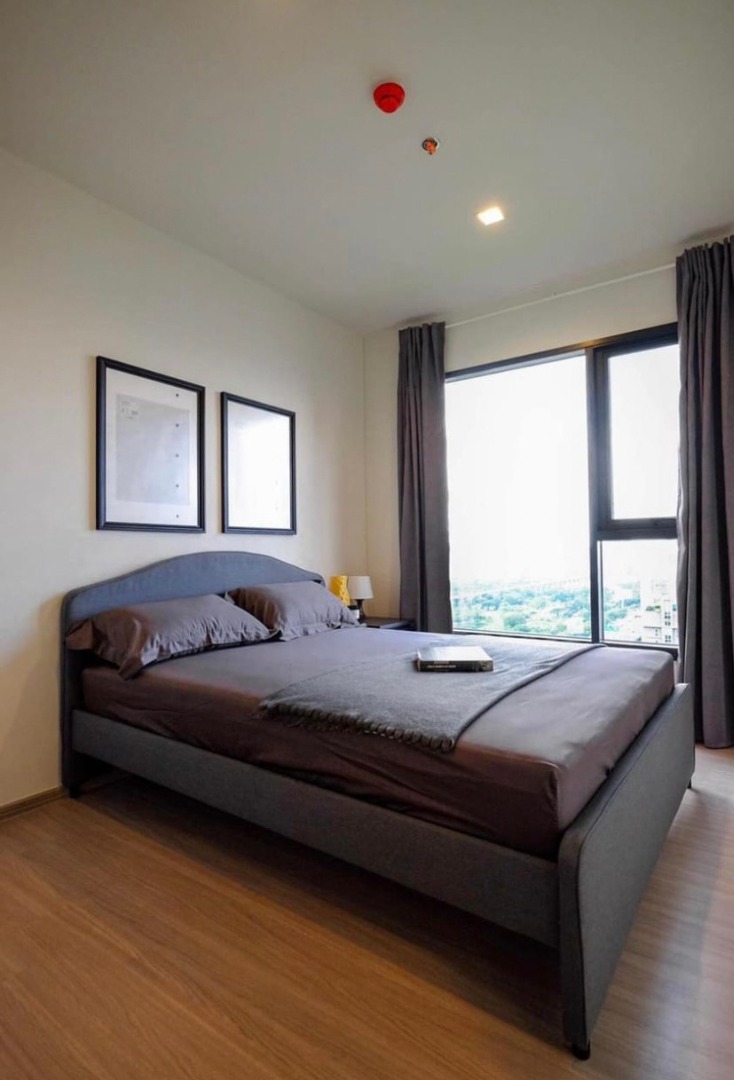 🎀 Life Asoke Hype 🔥 1 bedroom plus ราคาพิเศษ 23,500 บาท/เดือนเท่านั้น🔥